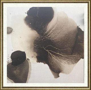 毛栗子_花非花 Floweriness28